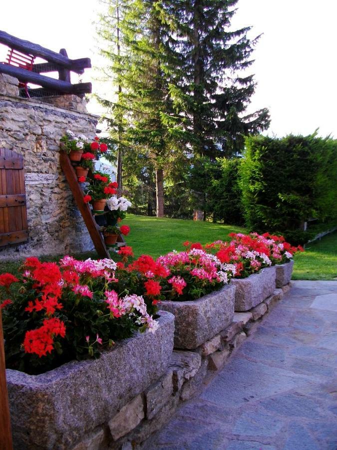 Le Petit Chateau De Vetan Cir 0023 圣皮埃尔 外观 照片